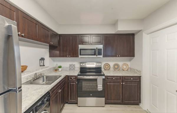 $1950.00 / 1br - 800ft2 - MOVE IN TODAY 1ST MONTH FREE! Live on davis island, walking distance t63976135705602122