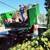 Eastside🌷YARD CLEANUPS BARK MULCH COARSE COMPOST TOPSOIL & MUCH MORE! 1 thumbnail