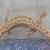 Leopard geckos 3 thumbnail