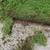 Landscaping, Maintenance, Yard Clean Ups [FALL AND WINTER] 5 thumbnail