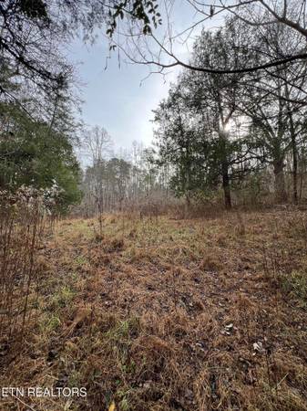 $495,000 58 ACRES- NO RESTRICTIONS (Madisonville)63815667970817122