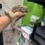 Hog Island Boa 7 thumbnail