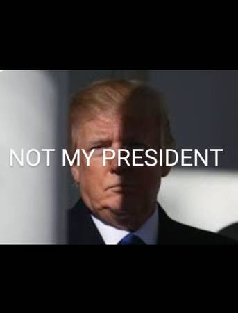 Re: Trump63857555331457122