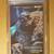 Spawn #113 CGC 9.8 NM/M White Pages New Slab Spawn McFarlane 18 thumbnail
