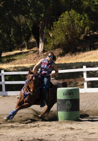 Horse for Lease (concord / pleasant hill / martinez)63477509608961125