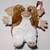 Gizmo Gremlins NWT 15" Plush Stuffed Animal Warner Bros 2017 1 thumbnail