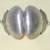 Vintage Gucci Sterling Silver Pill Box 4 thumbnail