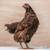 Hens chicken 6 thumbnail