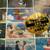 Studio Ghibli 2009 Calendar - Good for Framing - Brand New 2 thumbnail