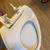 Standard Toilet Seat 2 thumbnail