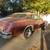1975 Oldsmobile 442 4 thumbnail