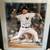 Roger Clemens Autographed 16 x 20 NYY Framed Photo 76/150 M.M. COA 1 thumbnail
