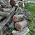 Black Walnut Log Chunks / Bowl Blanks 2 thumbnail