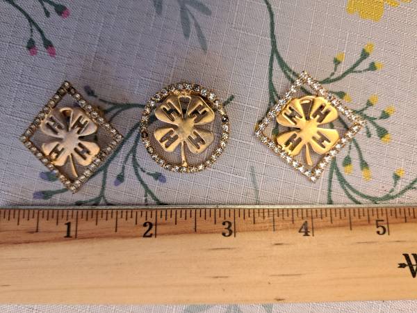 Vintage 4 H Pins 1