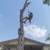🌴🌲 TREE SERVICE DONE RIGHT 210-480-2836🌴🌲 5 thumbnail
