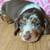 $$### PuPpYY @ 2 thumbnail