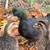 Cayuga drake 2 thumbnail