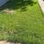 Lawn Mowing ☮️🕊️🌱🍃🌿 Prosperity Services 3 thumbnail