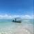 Affordable Beachfront Lots in Mexico (Yucatan) Gulf of Mexico 2 thumbnail