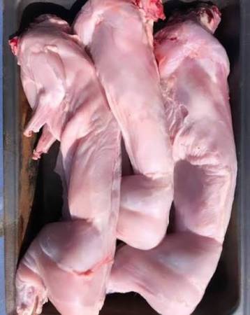 Rabbit and chicken processing 1