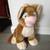 Large/Small Stuff Animals Etc. 5 thumbnail