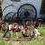 YARD DECOR FLOWER PLANTERS etc 16 thumbnail