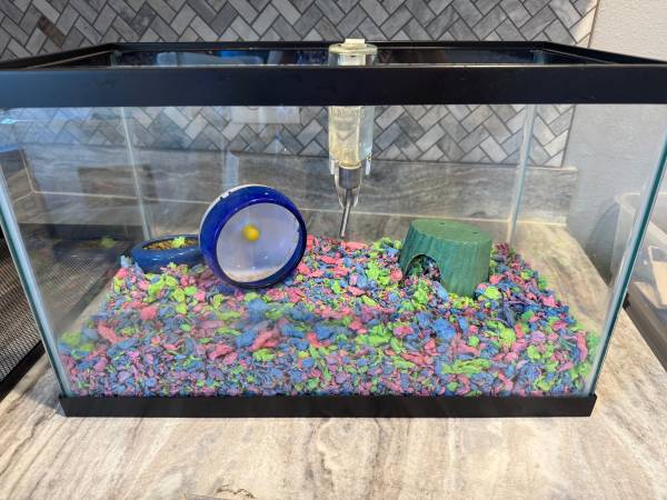 Hamster (Des Moines)63671554858241123