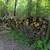 Firewood 4 thumbnail