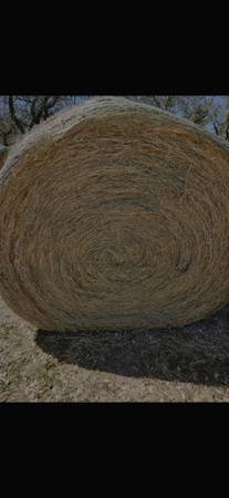 Horse quality coastal round bales. 1