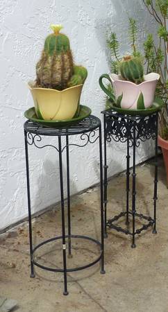 Potted  Cactus Plant #2 and 3 with Stands 1