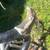 Concord vectra road/race bike 10 thumbnail