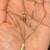 14K Yellow Gold necklace with Beautiful Pendant in shape of a Leave 23 thumbnail