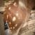 Monster Exotic Axis Shoulder Mount Buck Taxidermy Wall or Pedistal Mount Head 10 thumbnail