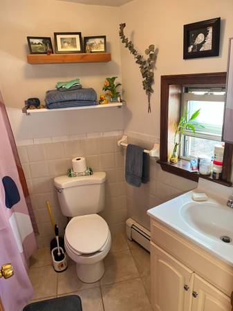 $1,275 Beautiful room in a 2Br 1Ba w/ balcony! Nov 1st - Feb 1st (Williamsburg, Brooklyn)63886654010113123