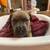 Cane Corso puppies 7 thumbnail