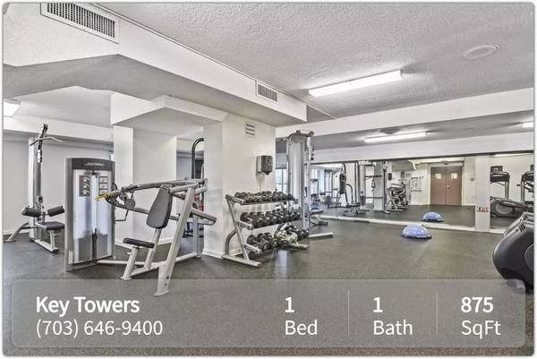 $1,675 / 1br - 875ft2 - Location is key! Stellar 1 bed, 1 bath in Alexandria's core. (Alexandria)64040025068161121