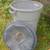 Fall clean-up bins on wheels, plus one 5 thumbnail