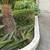 Gardener $80 monthly (special price for business) 3 thumbnail
