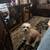 Missing dog please help 2 thumbnail