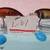 Nine (9) New Floating Fishing Lures   L-#61 13 thumbnail