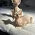 Sweet kittens 4 thumbnail