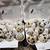 Jumbo Coturnix Quail hatching eggs 1 thumbnail