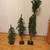 2' 3' 4' Natural Alpine Artificial Christmas Tree Set, Unlit - Christm 3 thumbnail
