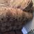 Elegant Sofa and Loveseat Set w/ Four Pillows 11 thumbnail
