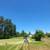 Overgrown acreage, Brush Cutting - Selective clearing 18 thumbnail