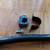 sway bar 2000 Buick Century 6 thumbnail
