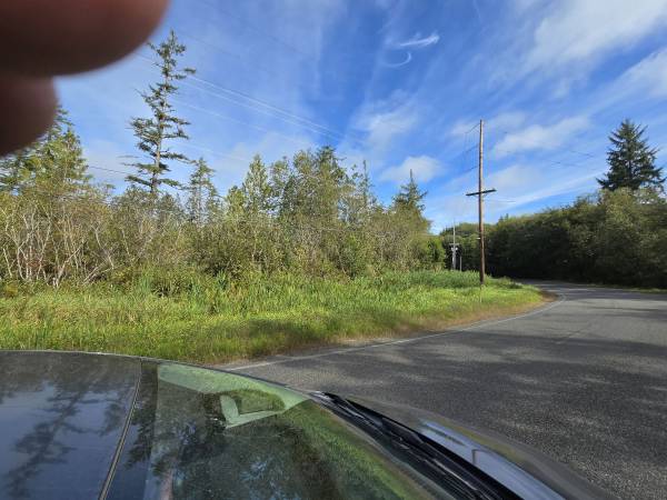 2....5 acre partials would it Timber Hoquiam Washington 1