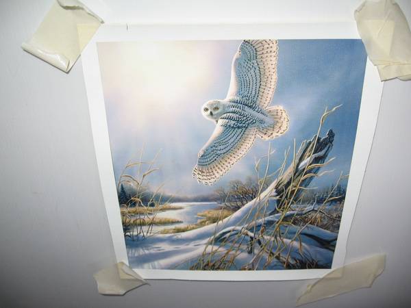 James Meger - Sundance - Snowy Owl Canvas 8.75 x 7.75 Inches 1