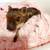 Mini pigs 2 thumbnail