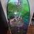 Scott Burke Boogie board 1 thumbnail
